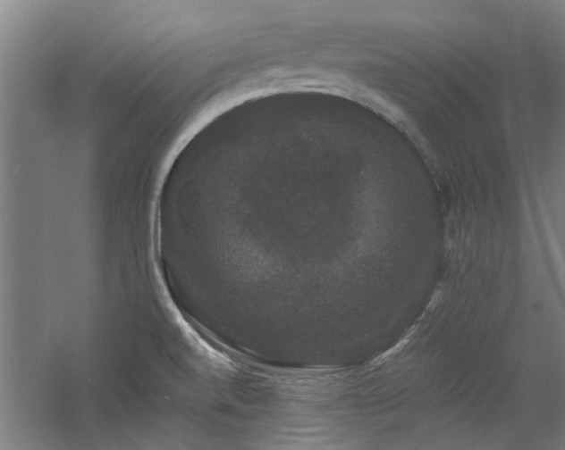 X0000060791520200511101405