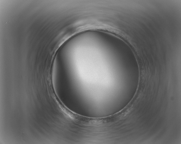 X0000060791521200511101405