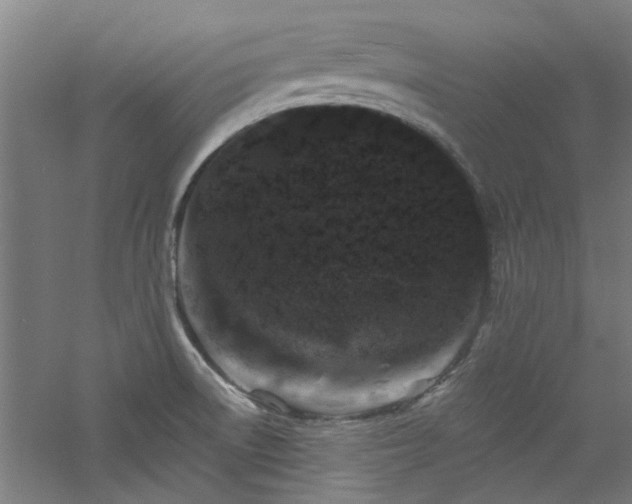 X0000060791522200511101405