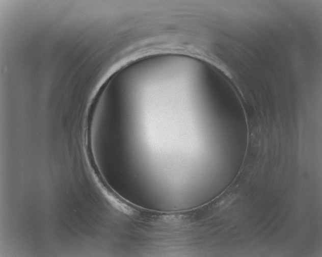 X0000060791523200511101405