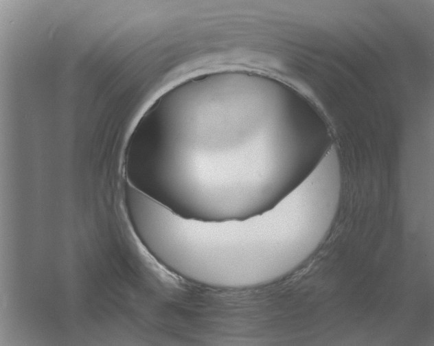 X0000060791524200511101405