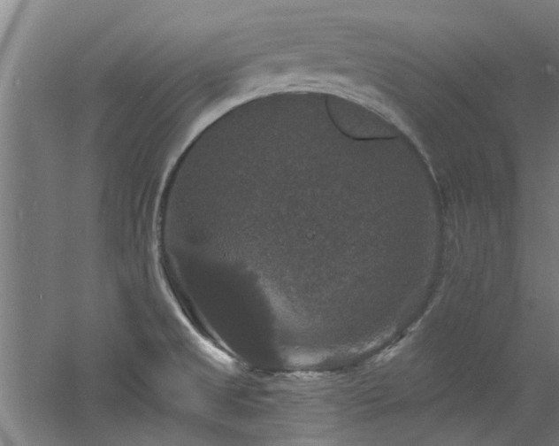 X0000060791525200511101405