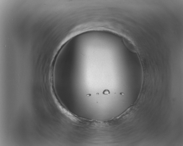 X0000060791526200511101405