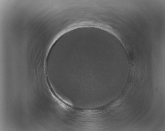 X0000060791527200511101405