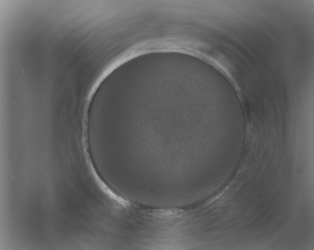 X0000060791528200511101405