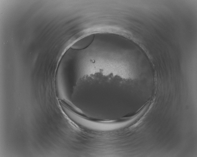 X0000060791529200511101405