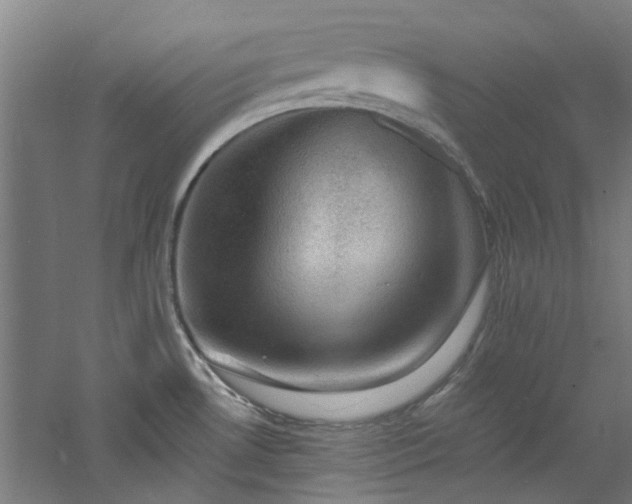 X0000060791530200511101405