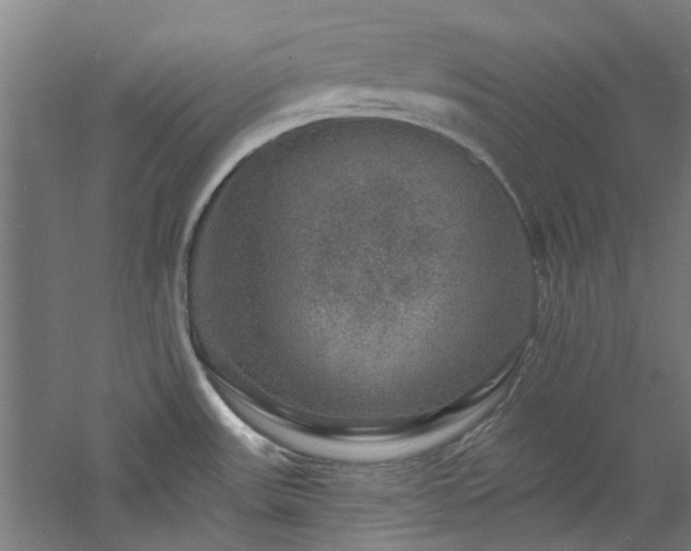 X0000060791531200511101405