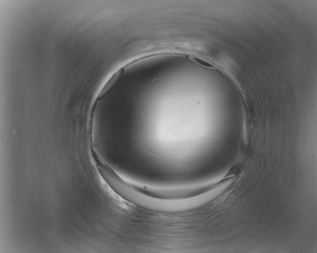 X0000060791532200511101405