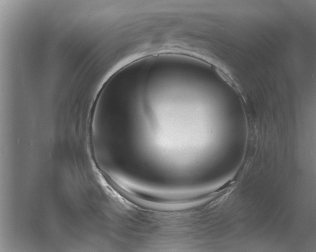 X0000060791534200511101405