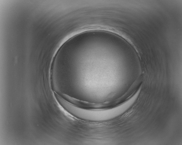 X0000060791535200511101405