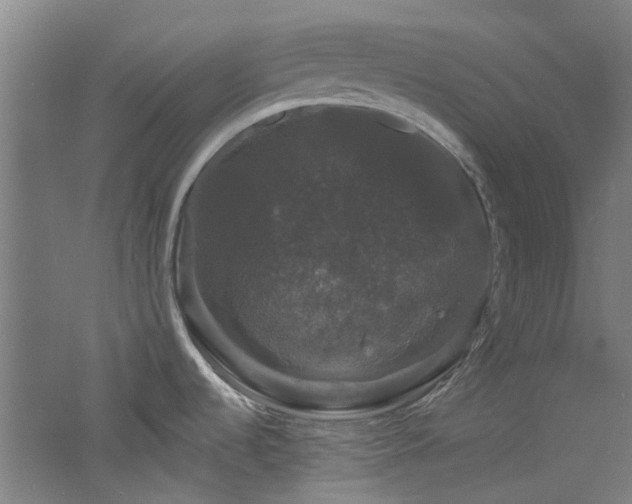 X0000060791536200511101405