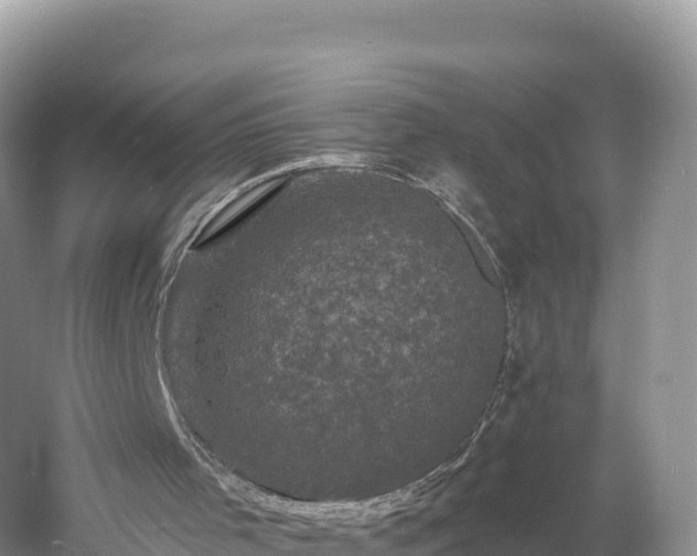 X0000060790001200511141456