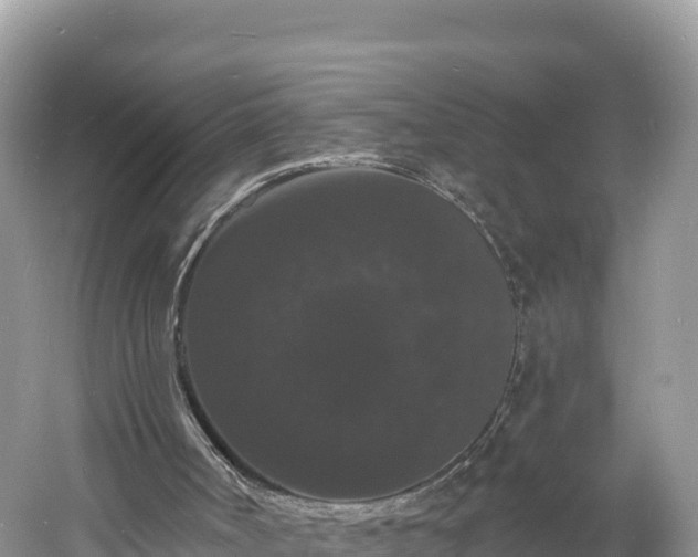 X0000060790002200511141456