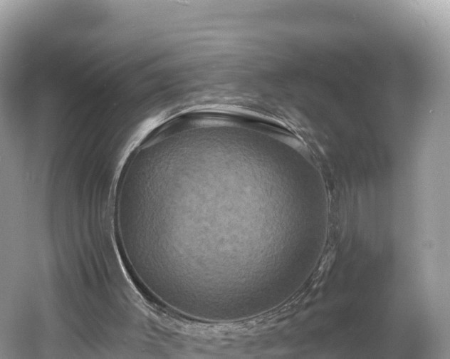 X0000060790003200511141456