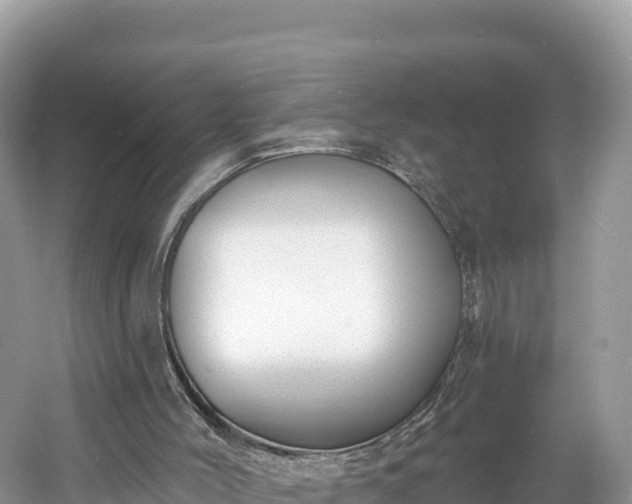 X0000060790004200511141456