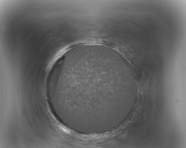 X0000060790005200511141456