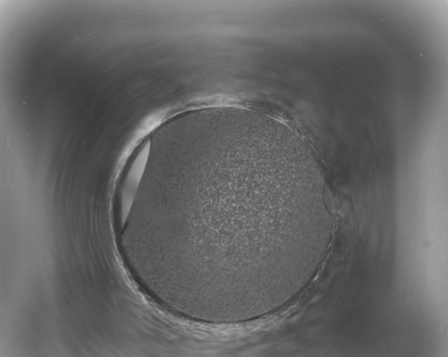 X0000060790006200511141456