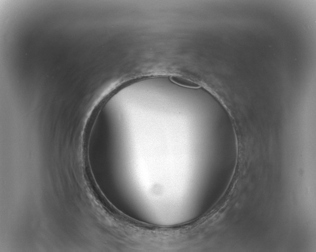 X0000060790008200511141456