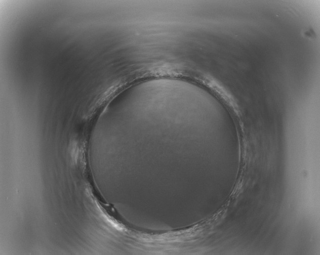 X0000060790009200511141456