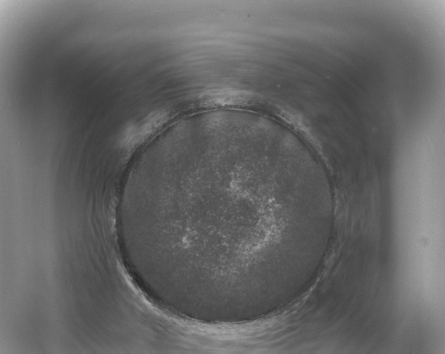 X0000060790010200511141456