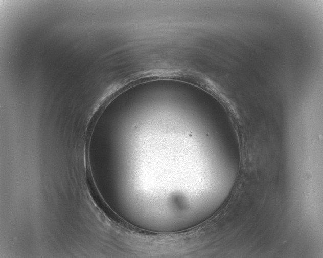 X0000060790011200511141456