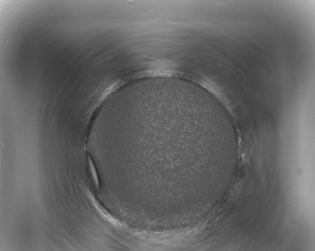 X0000060790013200511141456