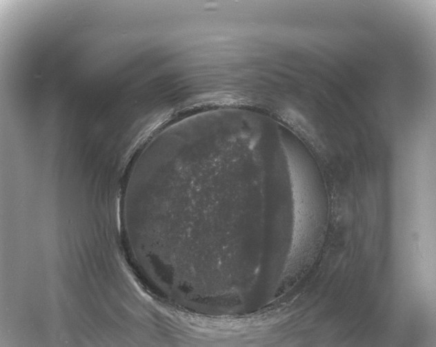 X0000060790014200511141456