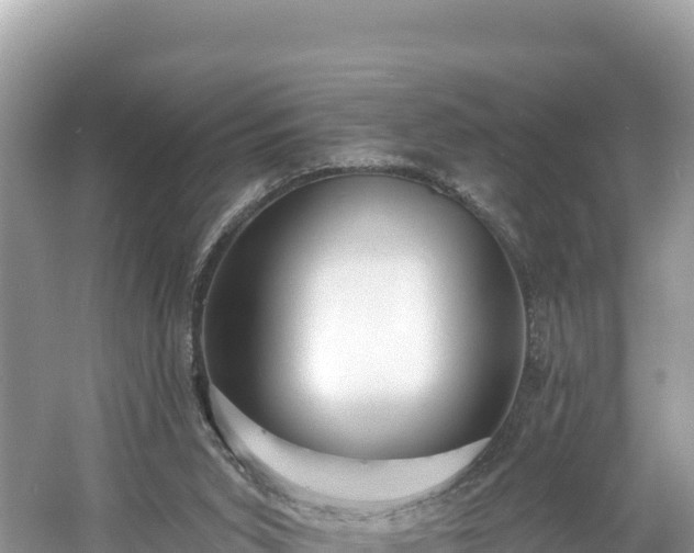 X0000060790015200511141456