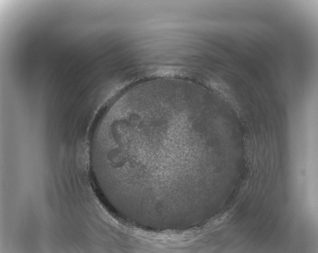 X0000060790016200511141456