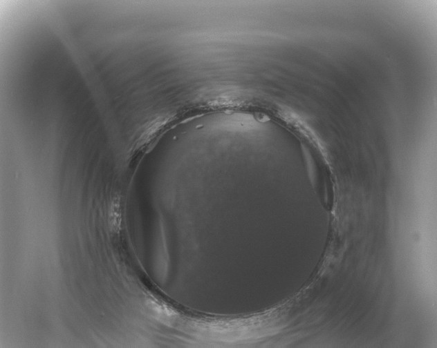 X0000060790017200511141456