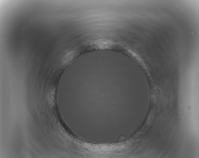 X0000060790018200511141456