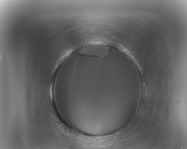 X0000060790019200511141455