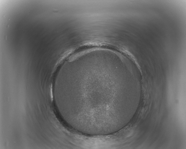 X0000060790020200511141455