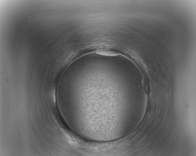 X0000060790021200511141455