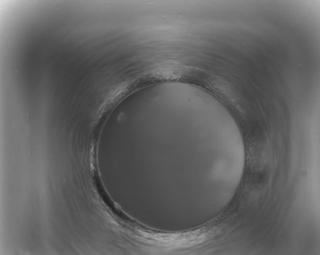 X0000060790023200511141455