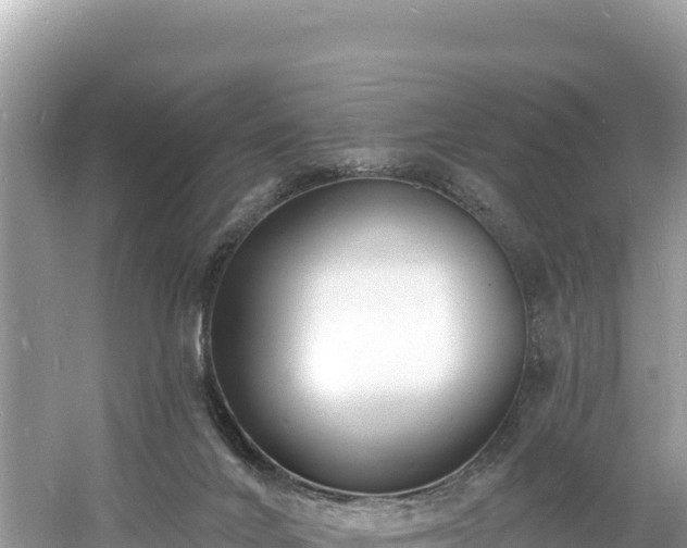 X0000060790024200511141455