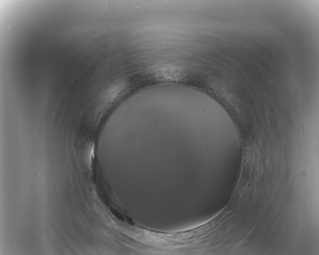 X0000060790027200511141455