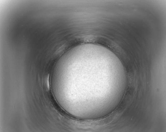 X0000060790028200511141455