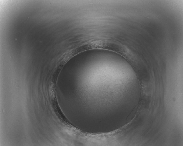 X0000060790029200511141455