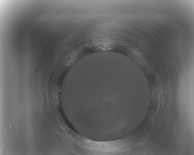 X0000060790030200511141455