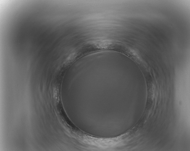 X0000060790031200511141455