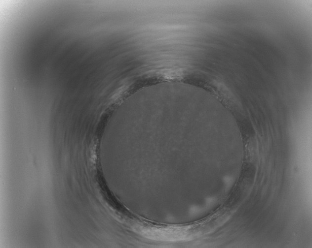 X0000060790032200511141455