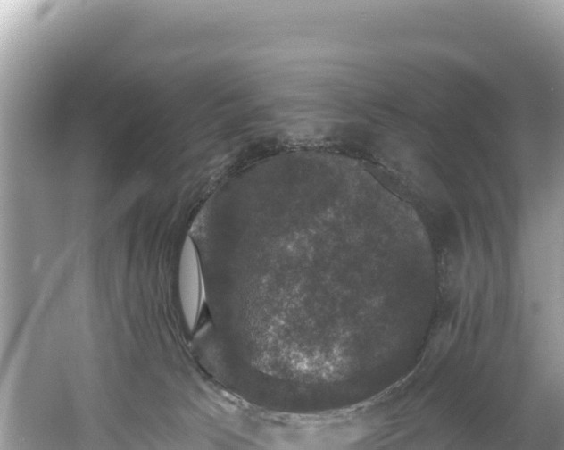 X0000060790033200511141455