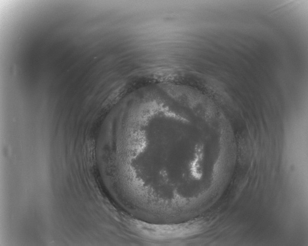 X0000060790034200511141455