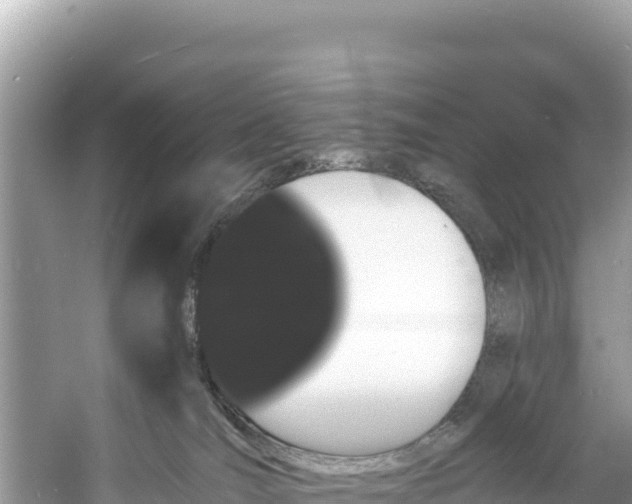 X0000060790036200511141455