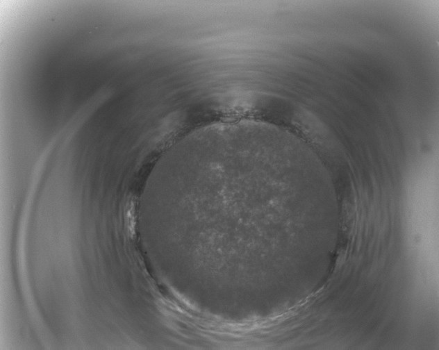 X0000060790037200511141455