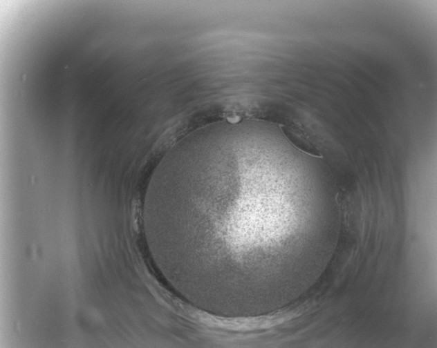 X0000060790038200511141455