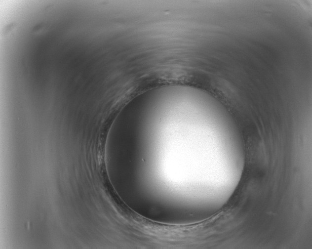 X0000060790040200511141455