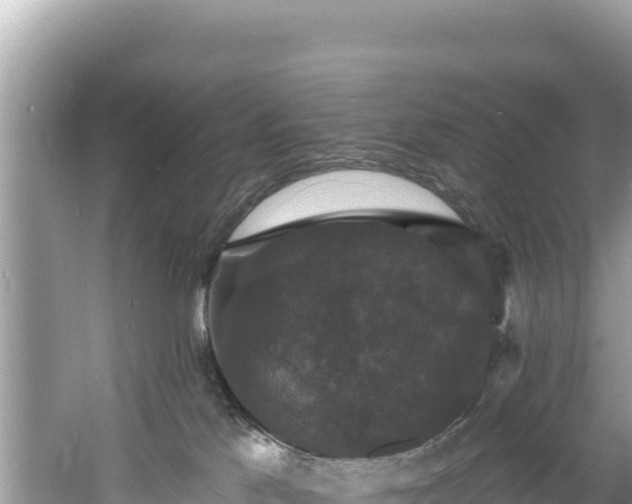 X0000060790041200511141455